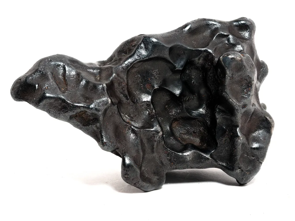 "The Turtle", Sikhote-Alin Meteorite image