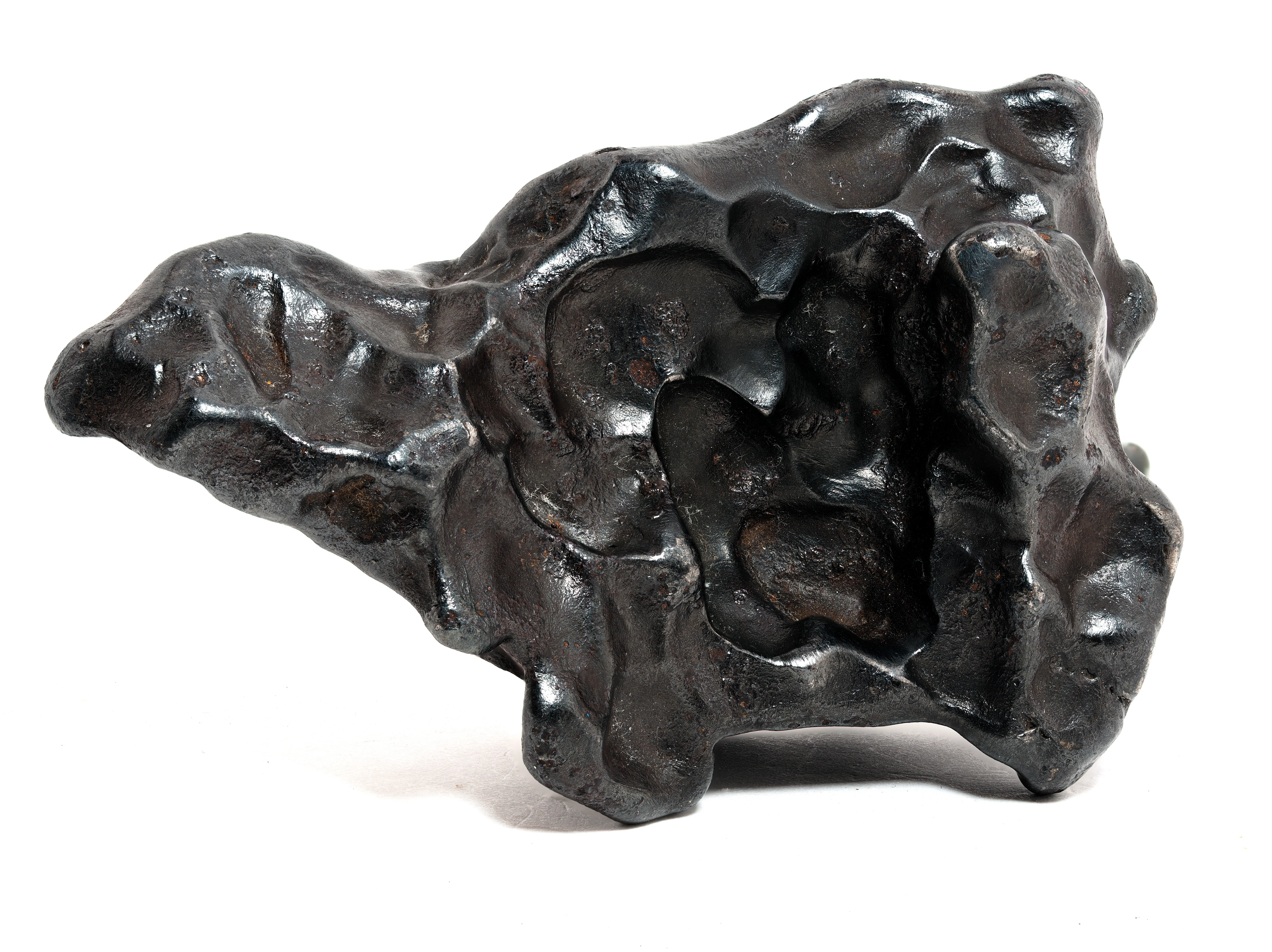 "The Turtle", Sikhote-Alin Meteorite - image 1