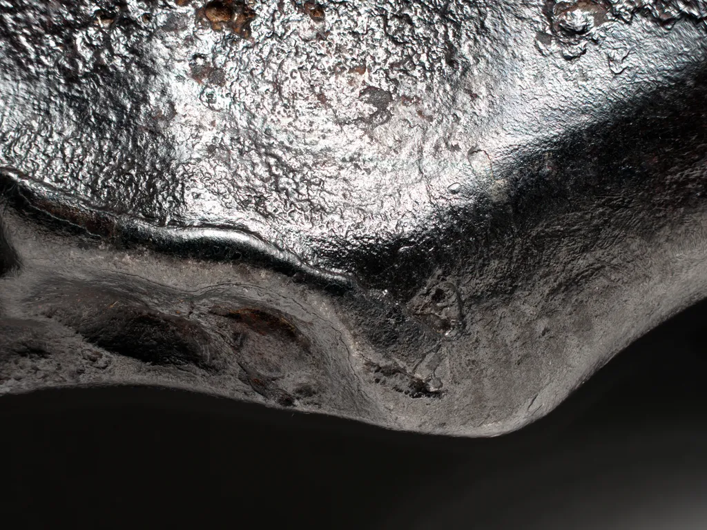 "The Turtle", Sikhote-Alin Meteorite - image 2