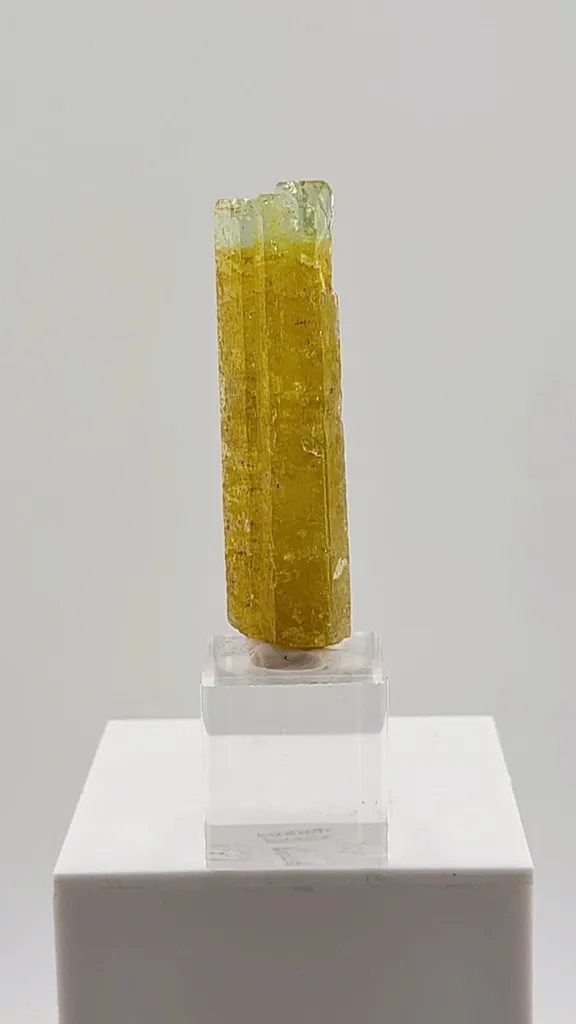 This exceptional 32.50 gram Heliodor from the legendary Padre Paraíso Pegmatite, Minas Gerais, Brazil displays a rich golden body that seamlessly transitions into a delicate Aquamarine-blue tip - image 2