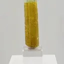 This exceptional 32.50 gram Heliodor from the legendary Padre Paraíso Pegmatite, Minas Gerais, Brazil displays a rich golden body that seamlessly transitions into a delicate Aquamarine-blue tip - image 2