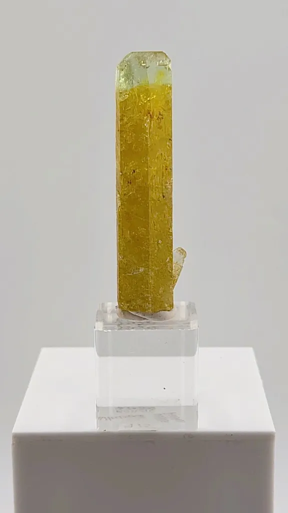 This exceptional 32.50 gram Heliodor from the legendary Padre Paraíso Pegmatite, Minas Gerais, Brazil displays a rich golden body that seamlessly transitions into a delicate Aquamarine-blue tip image