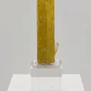 This exceptional 32.50 gram Heliodor from the legendary Padre Paraíso Pegmatite, Minas Gerais, Brazil displays a rich golden body that seamlessly transitions into a delicate Aquamarine-blue tip - image 1