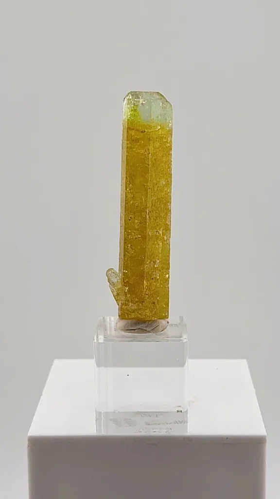 This exceptional 32.50 gram Heliodor from the legendary Padre Paraíso Pegmatite, Minas Gerais, Brazil displays a rich golden body that seamlessly transitions into a delicate Aquamarine-blue tip - image 3