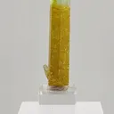 This exceptional 32.50 gram Heliodor from the legendary Padre Paraíso Pegmatite, Minas Gerais, Brazil displays a rich golden body that seamlessly transitions into a delicate Aquamarine-blue tip - image 3