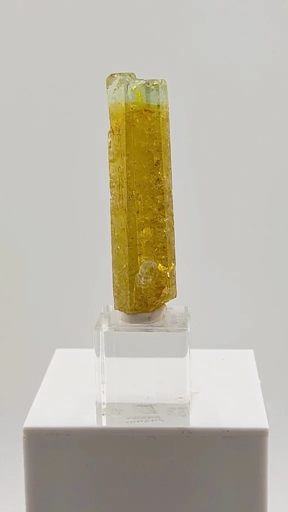 This exceptional 32.50 gram Heliodor from the legendary Padre Paraíso Pegmatite, Minas Gerais, Brazil displays a rich golden body that seamlessly transitions into a delicate Aquamarine-blue tip - image 4