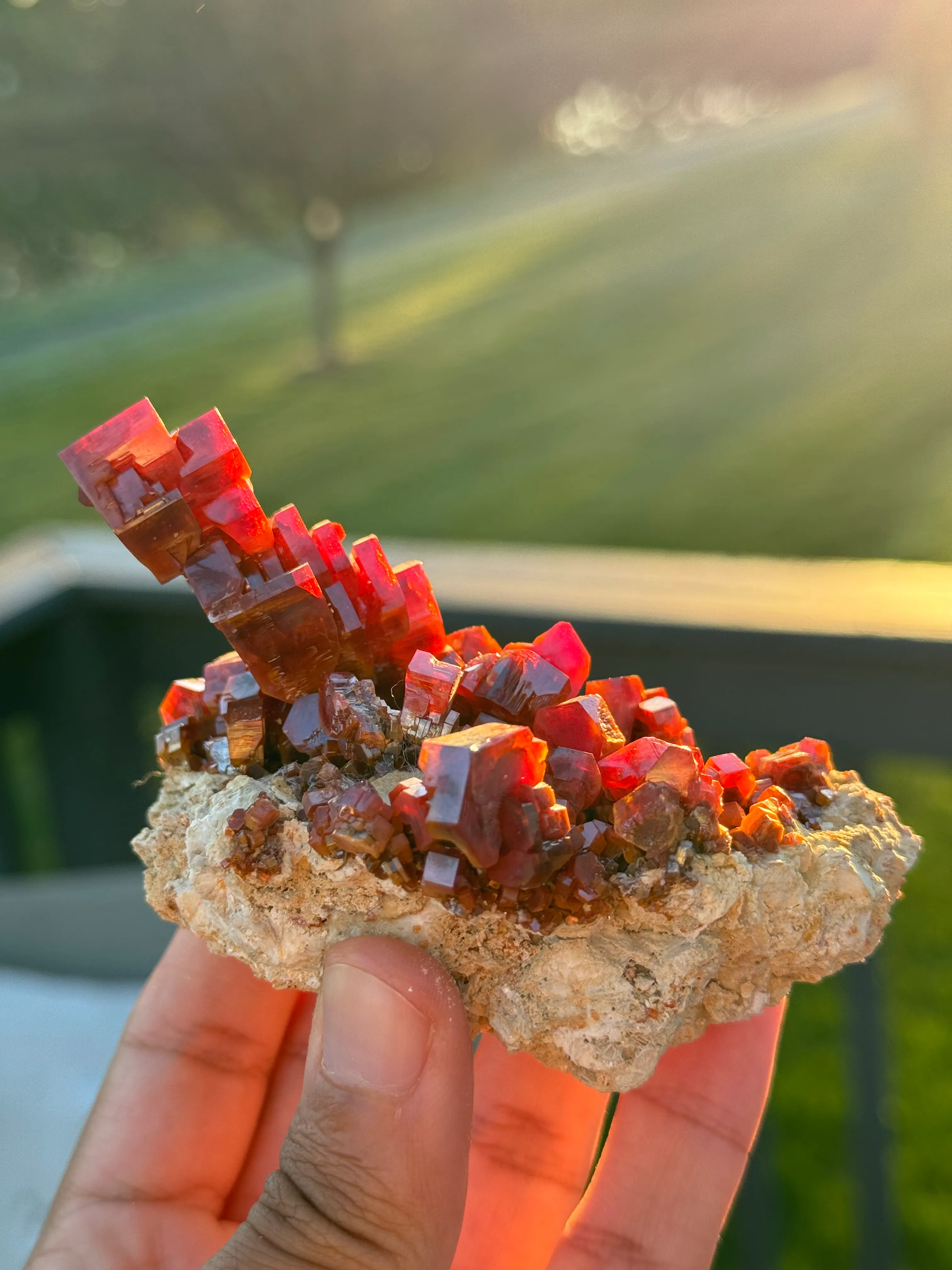 This exceptional vanadinite specimen is a masterpiece of natural artistry, featuring a unique format - image 3