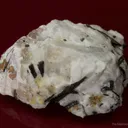 Thomasclarkite-(Y) (type locality) with Adamsite-(Y), and Aegirine on Albite - image 2