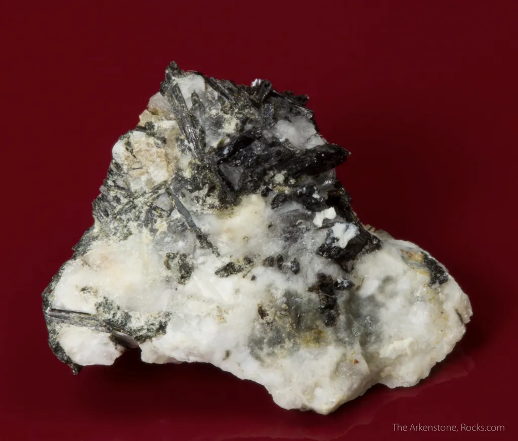 Thomasclarkite-(Y) (type locality) with Adamsite-(Y), and Aegirine on Albite - image 3