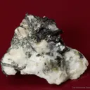 Thomasclarkite-(Y) (type locality) with Adamsite-(Y), and Aegirine on Albite - image 3