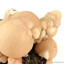 Thomsonite - image 2