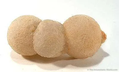 Thomsonite image