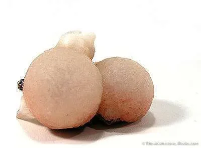 Thomsonite image
