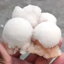 specimen video