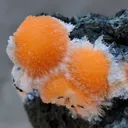 Thomsonite balls on Matrix - image 5