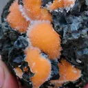 Thomsonite balls on Matrix - image 4