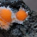 Thomsonite balls on Matrix - image 3