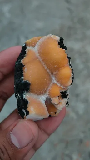 specimen video