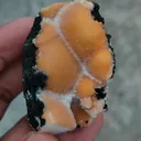 specimen video