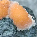 Thomsonite balls on Matrix Natural Mineral specimen - image 6