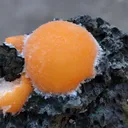 Thomsonite balls on Matrix Natural Mineral specimen - image 3