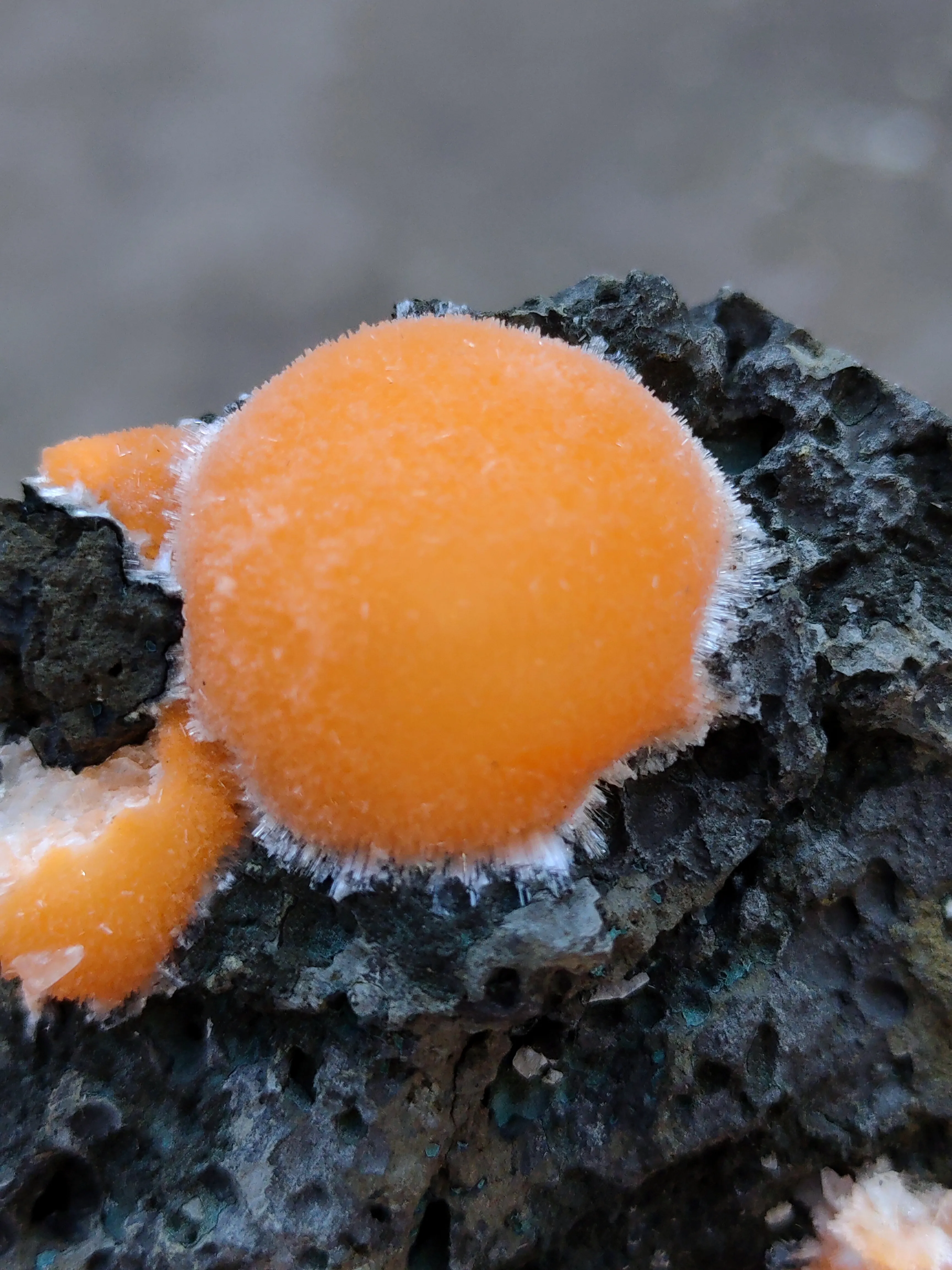 Thomsonite balls on Matrix Natural Mineral specimen - image 3