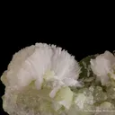 Thomsonite-Ca on Prehnite - image 2