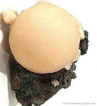 Thomsonite image