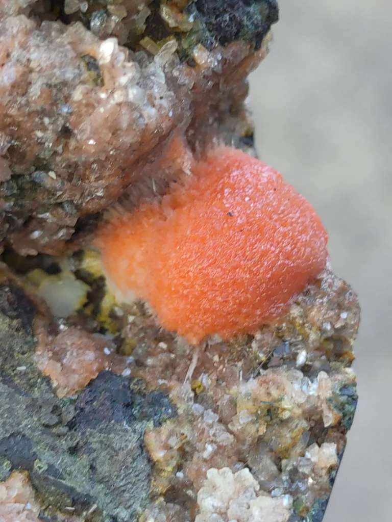 Thomsonite from Deshgaon, Madhya Pradesh, India - image 5
