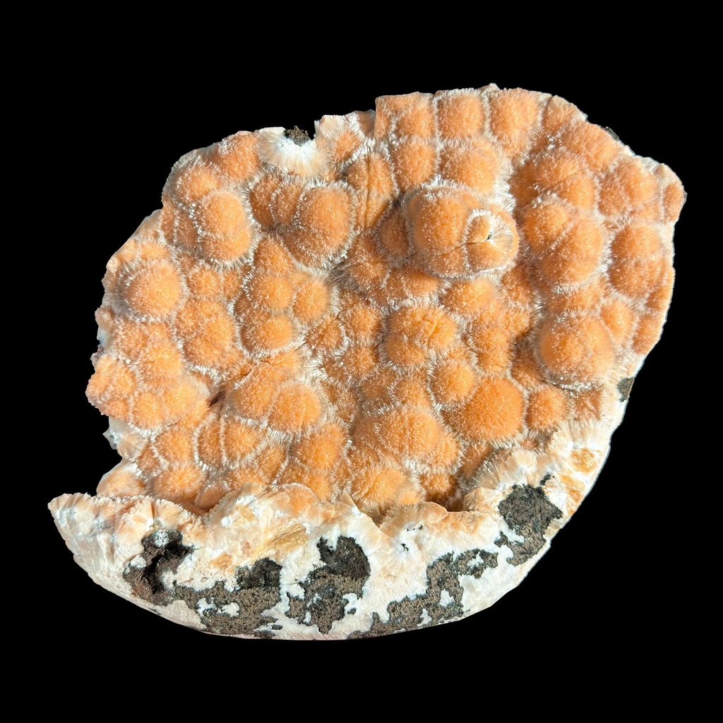 Thomsonite from Nashik, Nashik District, Nashik Division, Maharashtra, India - image 4