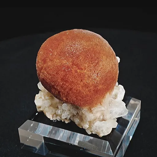 specimen video
