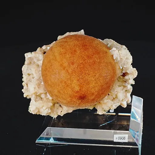 specimen video
