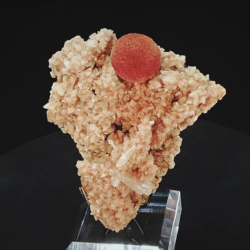 specimen video