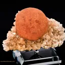 Thomsonite on Heulandite - image 3