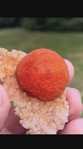 specimen video