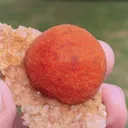 specimen video