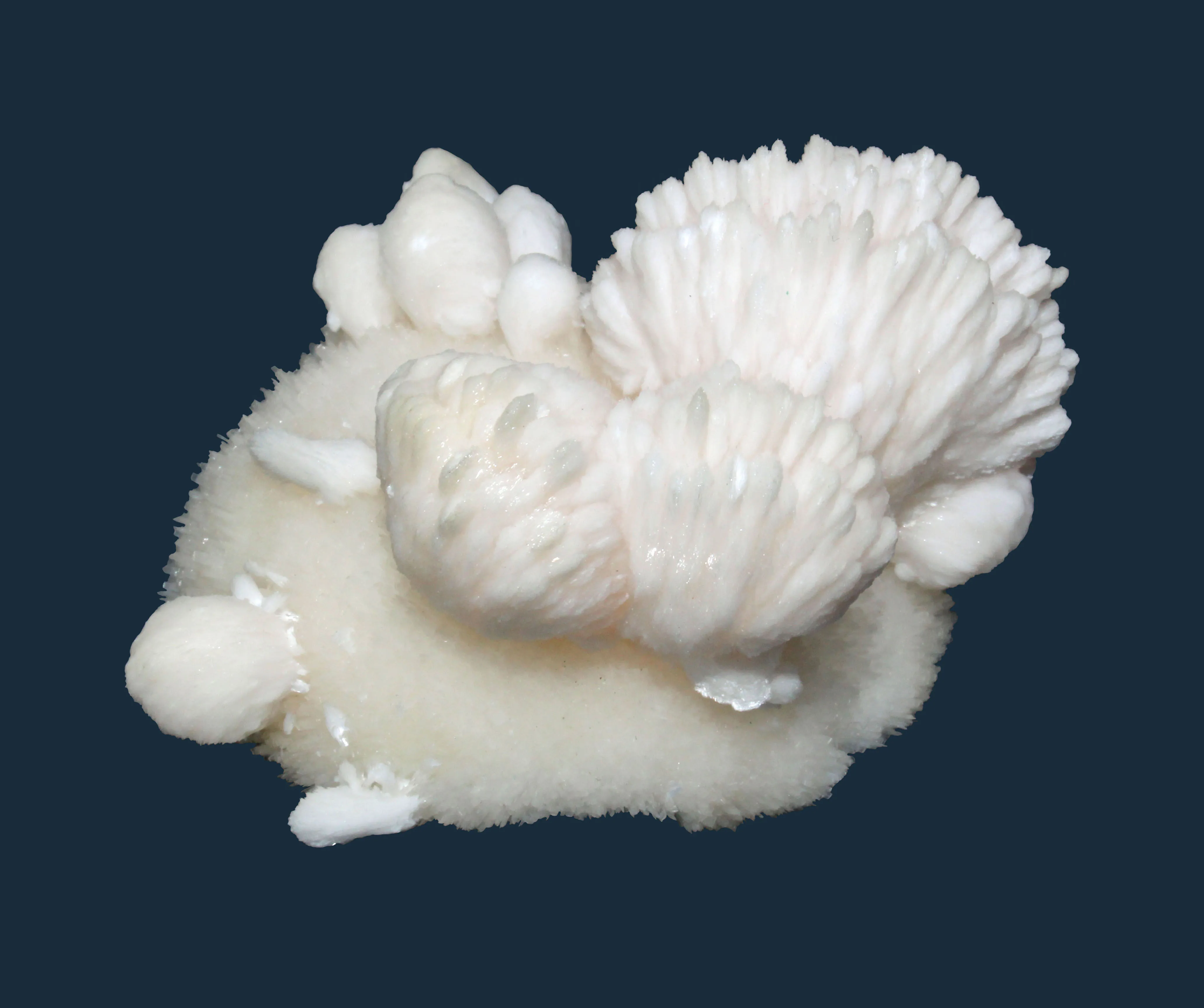 Thomsonite on pectolite - image 1