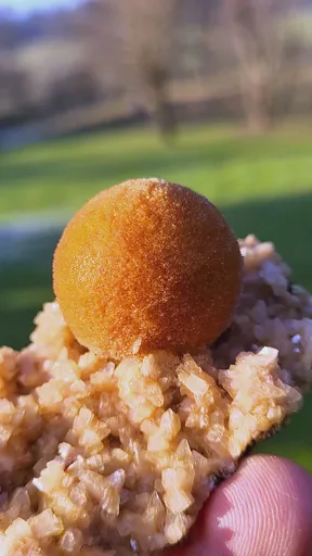 specimen video