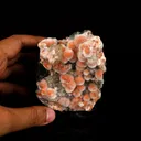 Thomsonite Orange Rare Find Free Standing Natural Mineral Specimen - image 5