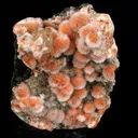 Thomsonite Orange Rare Find Free Standing Natural Mineral Specimen - image 1