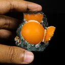 Thomsonite Orange Rare Find Natural Mineral Specimen - image 4