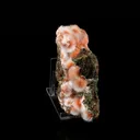 Thomsonite Orange Rare Find Natural Mineral Specimen - image 1