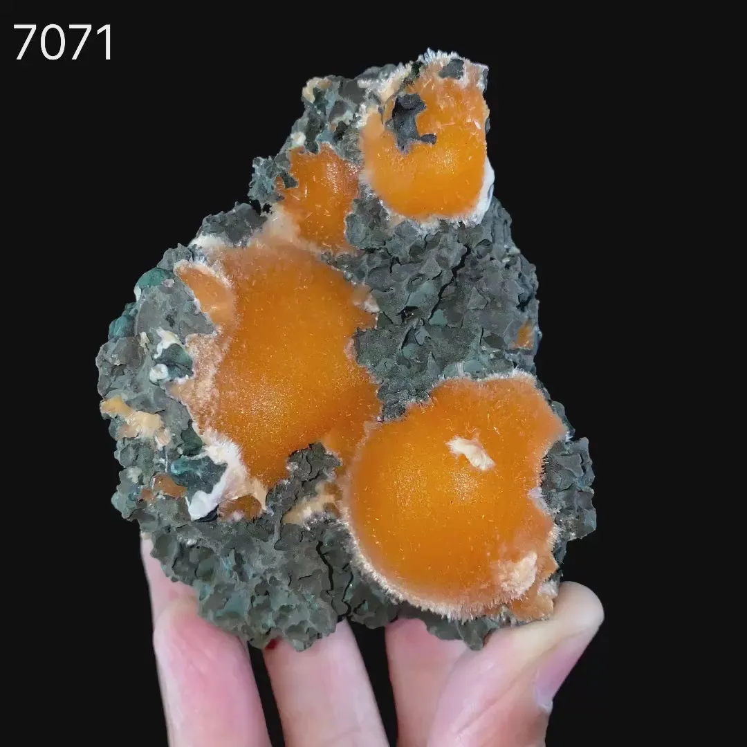 Thomsonite Orange Rare Find Natural Mineral Specimen - image 6