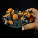 Thomsonite Orange Rare Find Natural Mineral Specimen - image 4