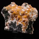 Thomsonite Orange Rare Find Natural Mineral Specimen - image 3