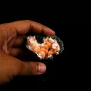 Thomsonite Orange Rare Find Natural Mineral Specimen - image 3