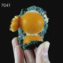 Thomsonite Orange Rare Find Natural Mineral Specimen - image 6