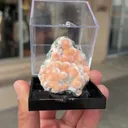 Thomsonite Orange Rare Find Natural Mineral Specimen - image 6