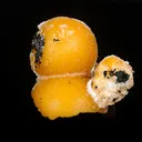 Thomsonite Orange Rare Find Natural Mineral Specimen - image 2