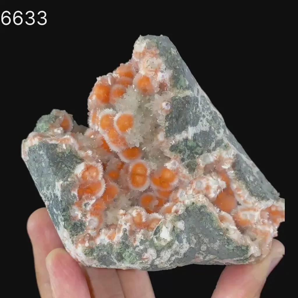 Thomsonite Orange Rare Find Natural Mineral Specimen - image 5